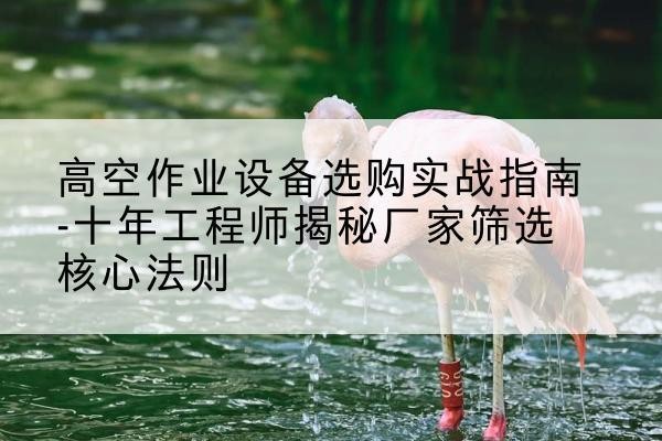 乐业剪叉式升降机厂家-高空作业设备选购实战指南-十年工程师揭秘厂家筛选核心法则