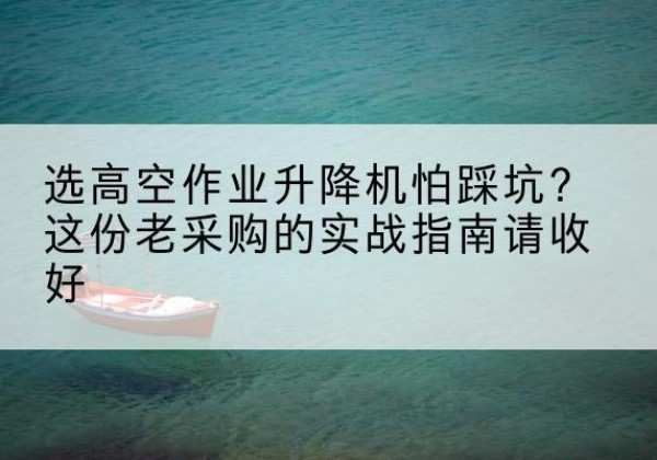乐业高空作业升降机厂家推荐-选高空作业升降机怕踩坑？这份老采购的实战指南请收好