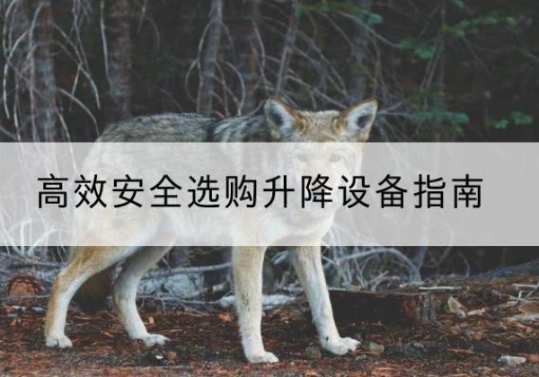 乐业升降货梯厂家推荐-*安全选购升降设备指南