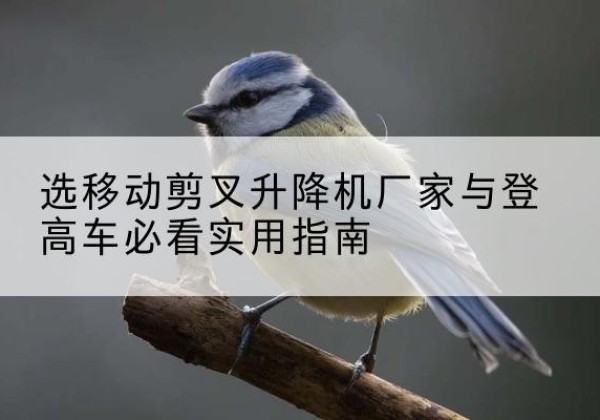 乐业电动升降机厂家-选移动剪叉升降机厂家与登高车必看实用指南