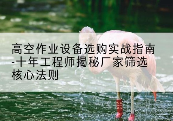 乐业剪叉式升降机厂家-高空作业设备选购实战指南-十年工程师揭秘厂家筛选核心法则